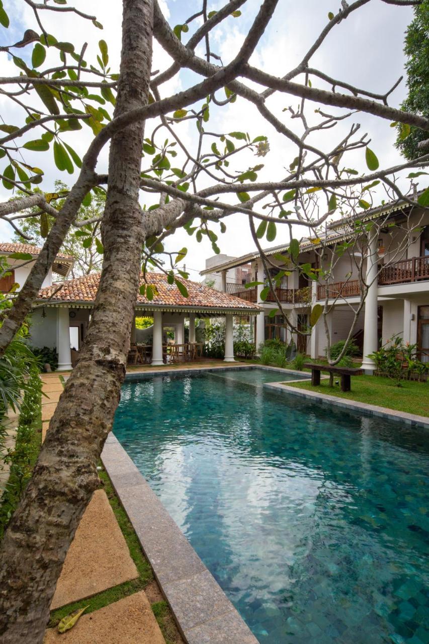 Bilin Tree House Hotel Galle Exterior foto